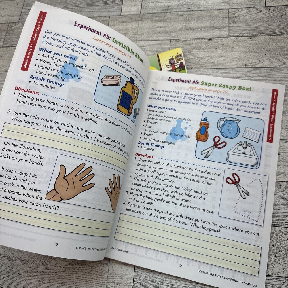WORKBOOKS Lot of 2 Fun Skill Builders - Science Insects Bugs - Grades 2-3 - NEW - Picture 2 of 15